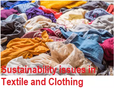 Sustainability Issues for Textile and Clothing Industry