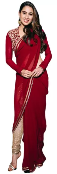 Pant style saree drape