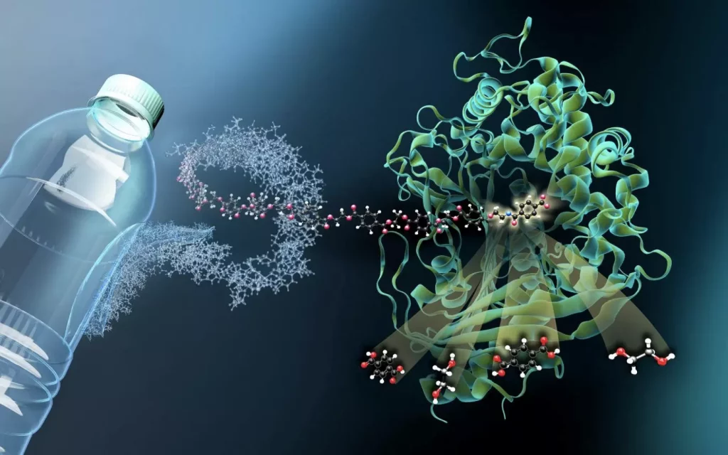 Polyester eating microbes