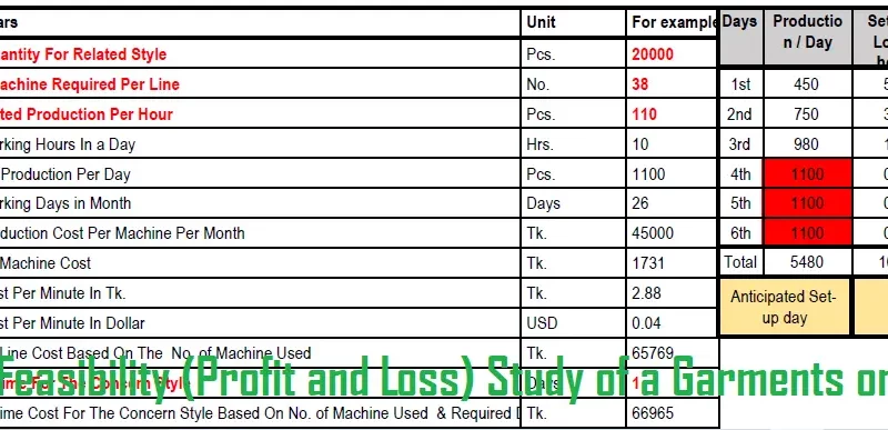 Feasibility (Profit and Loss) Study of a Garments order