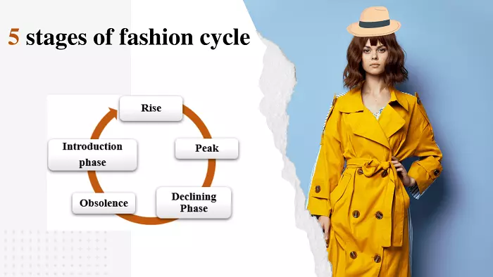 What Is Fashion Cycle | 5 Stages of Fashion Cycle