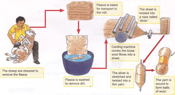 Wool Manufacturing Process as Textile Fiber to Wool Fabric