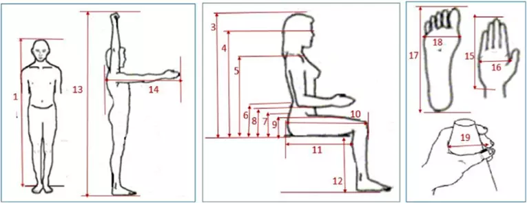 Ergonomic Issues with the handloom weaving