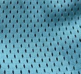 Polyester Mesh