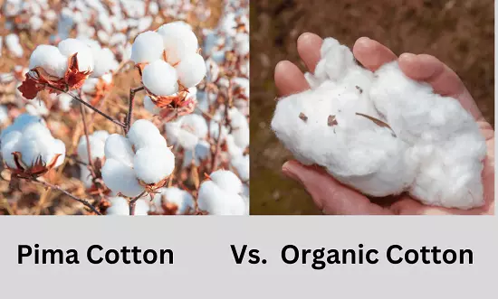 Difference Between Pima Cotton and Organic Cotton