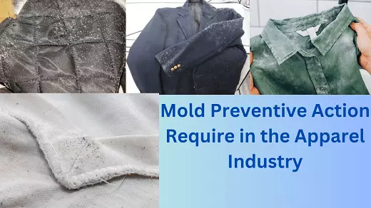 Mold Preventive Action Require in the Apparel Industry