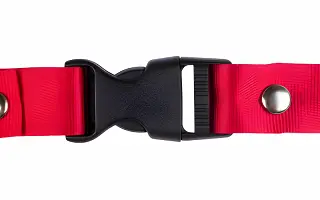 Clip Buckle
