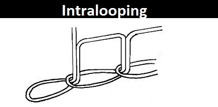 Intra-looping