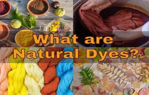 Natural Dyes: Characteristics, Classification, Uses, Advantages & Disadvantages