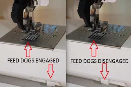 Feed dog