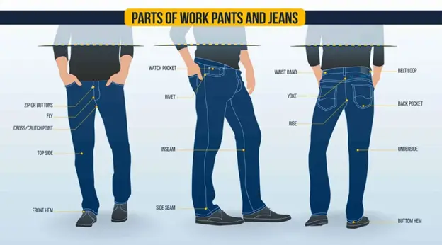 Jeans Pant and Its Major Parts