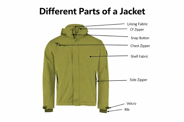 Different Parts of a Jacket