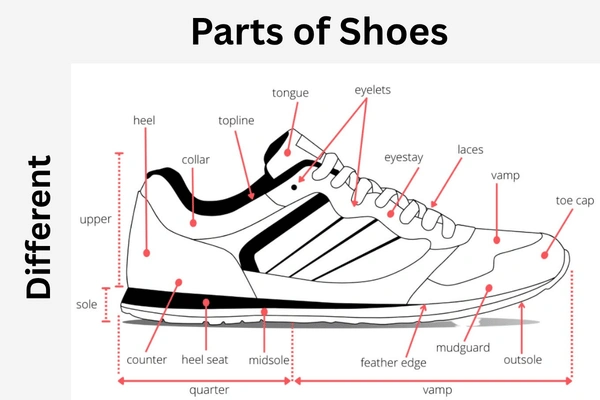 parts of a shoe connections