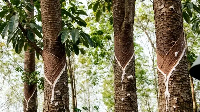 Why Luxury Brands Choose Natural Latex Over Synthetic PVC